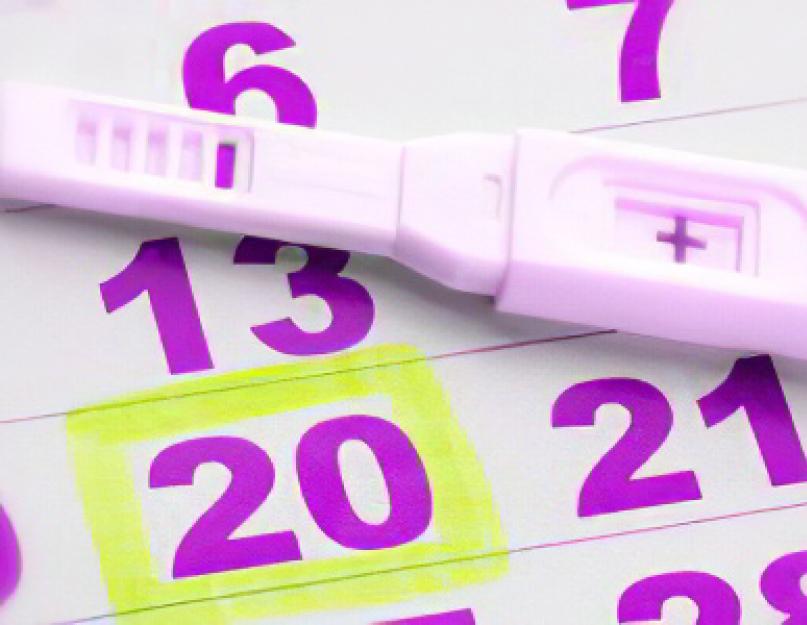 Как узнать срок рождения ребенка по месячным. Как рассчитать предполагаемую дату родов